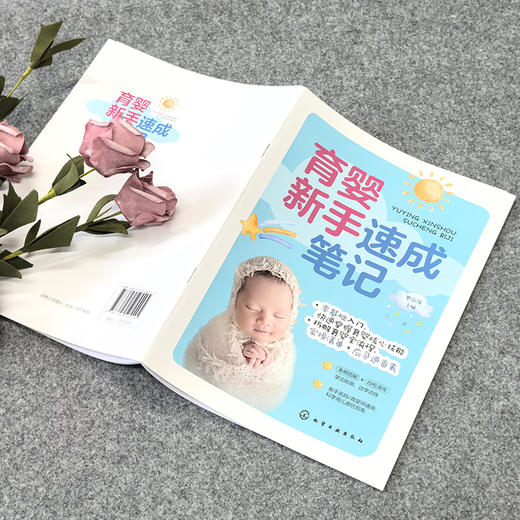 育婴新手速成笔记 商品图2