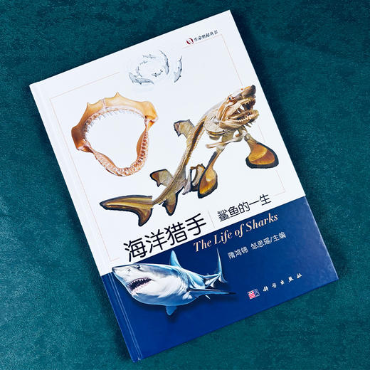 海洋猎手：鲨鱼的一生 商品图1