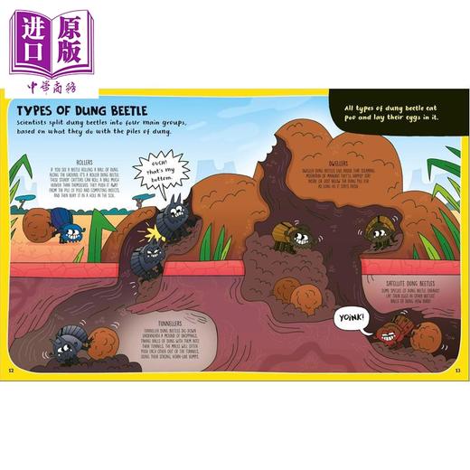 预售 【中商原版】DK漫画章节 如何成为一只蜣螂 How to be a Dung Beetle 英文原版 儿童绘本 动物故事书 自然图画小说 进口童书 商品图3