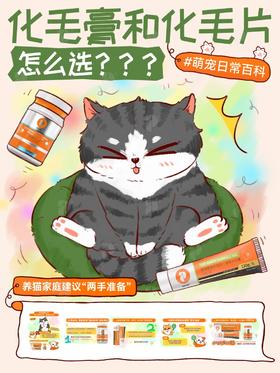 【普安特课堂科普】🐱化毛膏vs化毛片❓养猫家庭两手准备不踩坑