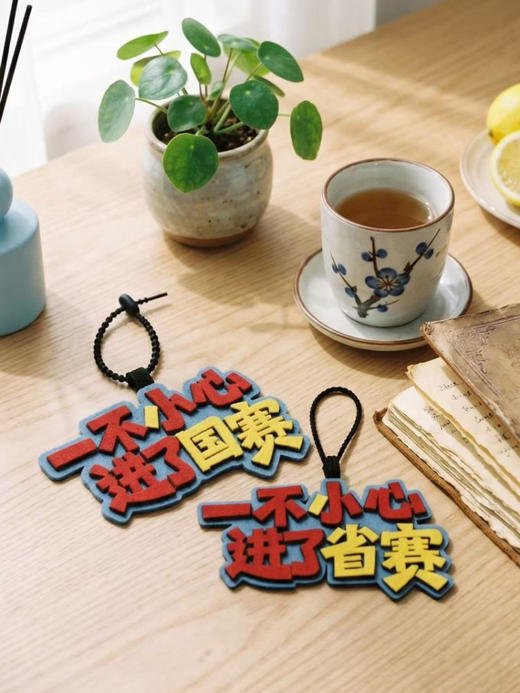 【包挂】一不小心进了国赛/上课暂停我要去比赛/一不小心进了省赛 商品图1