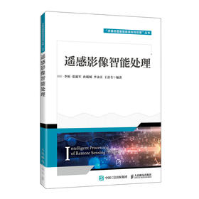 遥感影像智能处理 人工智能数据融合数据压缩图像分类目标检测语义分割影像修复变化检测跨域处理