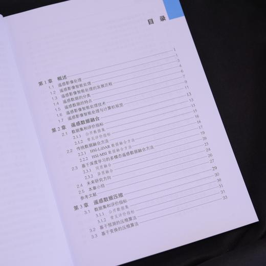 遥感影像智能处理 人工智能数据融合数据压缩图像分类目标检测语义分割影像修复变化检测跨域处理 商品图2