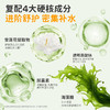 全家都能用【99元4只】蓓雀儿婴幼儿保湿舒缓芦荟胶 60g 0岁+ 商品缩略图4