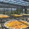 生态芒果干*自然晾晒 果香浓郁 只有芒果的芒果干*云南柠檬君基地直发 商品缩略图3