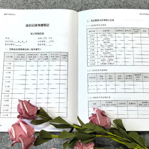 育婴新手速成笔记 商品图3