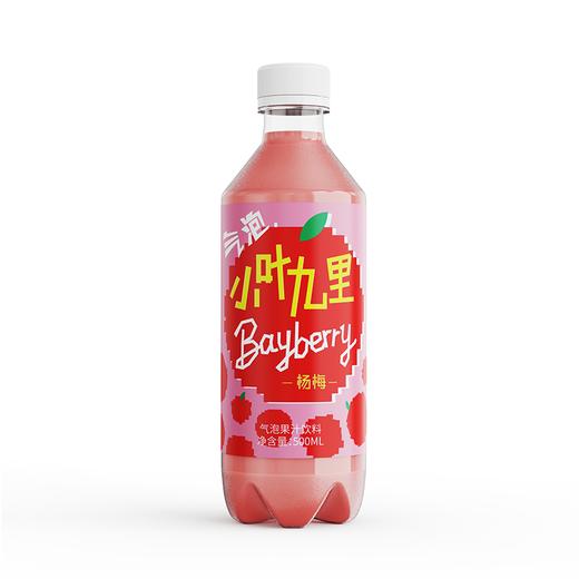 小叶九里500ml杨梅气泡果汁 商品图0