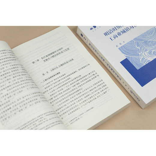 明清时期长江流域工商业城镇习惯法 武乾 著 法律出版社 商品图2