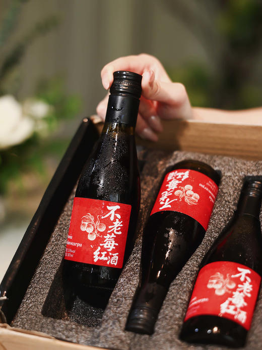 君燚庄园不老莓红酒 商品图1