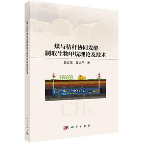 煤与秸秆协同发酵制取生物甲烷理论及技术 郭红玉 夏大平 9787030834607