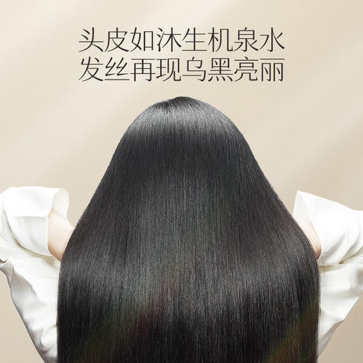 滋养型 参乌淘米水洗发水400g/瓶 送洗发水+养发乳 A-2885-1 长发小寨 商品图7