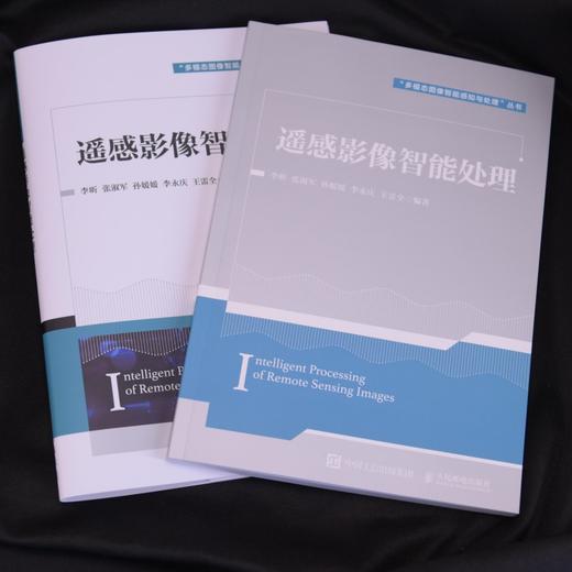 遥感影像智能处理 人工智能数据融合数据压缩图像分类目标检测语义分割影像修复变化检测跨域处理 商品图1