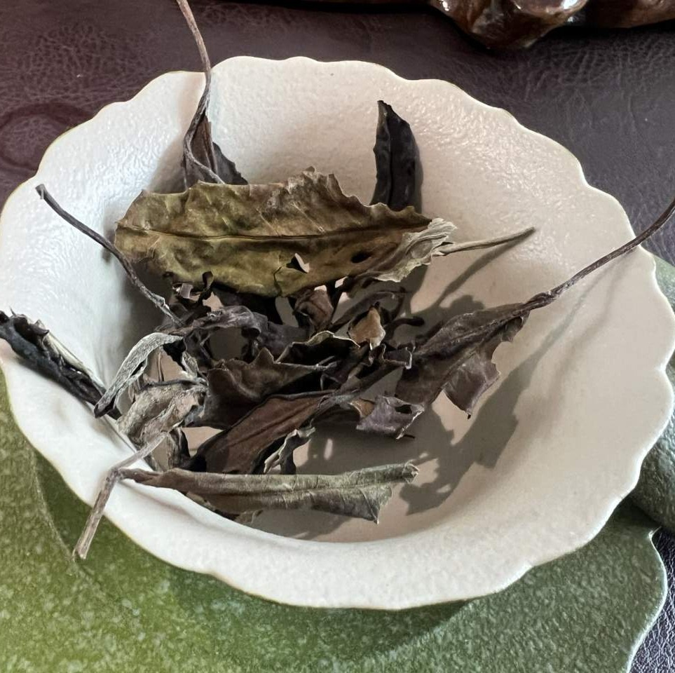 【虫咬白茶】2023年荒野虫眼白茶，茶农们特意留下这些“虫眼茶”完全没有农药！天然健康！自带高甜度和醇厚感～  0610