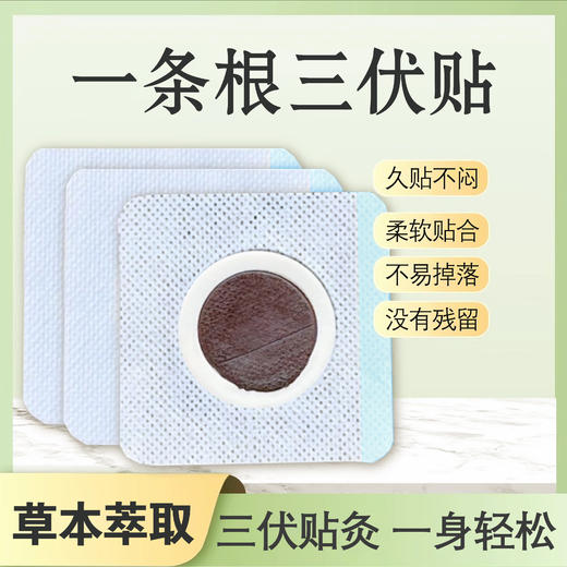 【冬病夏治正当时】李时珍·一条根 三伏贴 添加台湾名药金门一条根 复配八味中草药 驱寒祛湿通经络 舒缓颈肩腰腿 居家理疗神器 全家老小都能用 12贴/盒 商品图4