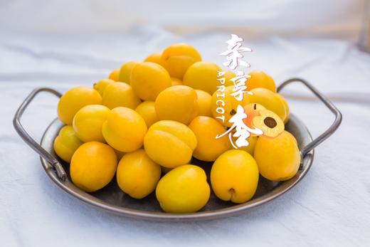 【新疆小白杏上市啦】真正长在树上的蜂蜜果，甜过蜂蜜，香过夏花，它甜美多汁，入口爆浆，杏味浓郁，每一颗都是满满阳光的味道，也是舌尖甜蜜的盛宴。 商品图1