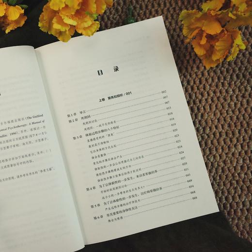 万千心理·聚焦取向体验疗法 商品图12
