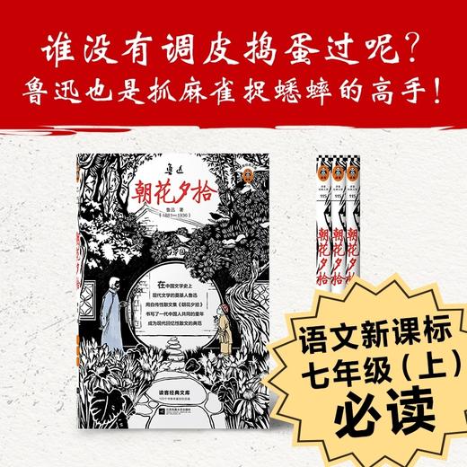 朝花夕拾-地面全渠道-造景贴纸 商品图2