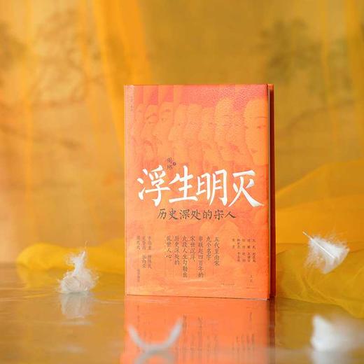 浮生明灭:历史深处的宋人 商品图4