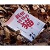 戴银铃铛的猫 商品缩略图2