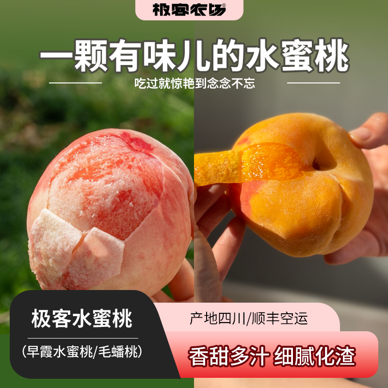 【预售】【果期超短❗️❗️】极客水蜜桃（早霞水蜜桃/毛蟠桃） | 软硬两吃，软后爆汁，桃香十足，到货后先挑软的吃，轻微磕碰，氧化变色不影响食用，成熟度高，会出现糖化现象，介意慎拍⭐️顺丰空运