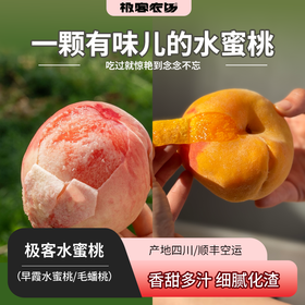 【预售】【果期超短❗️❗️】极客水蜜桃（早霞水蜜桃/毛蟠桃） | 软硬两吃，软后爆汁，桃香十足，到货后先挑软的吃，轻微磕碰，氧化变色不影响食用，成熟度高，会出现糖化现象，介意慎拍⭐️顺丰空运