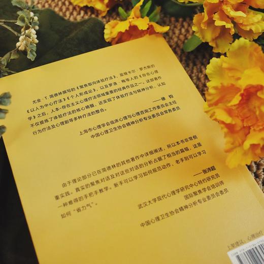 万千心理·聚焦取向体验疗法 商品图9