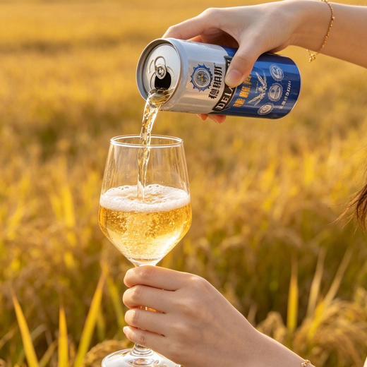 德朗斯12.1度精酿啤酒 330ml*24罐/箱 商品图5