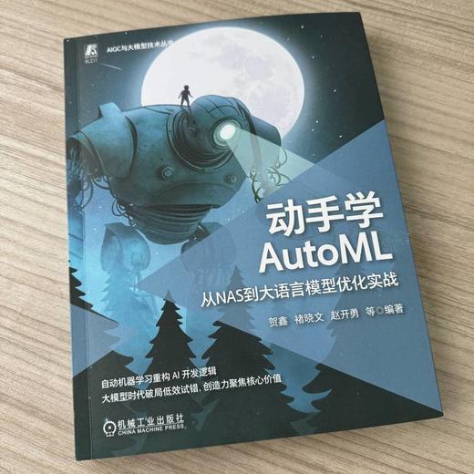 动手学 AutoML:从 NAS 到大语言模型优化实战 商品图2