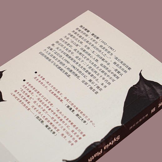 渴望：普拉斯日记选 商品图4