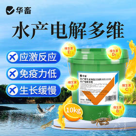 华畜水产电解多维10kg抗应激活性高 吸收好