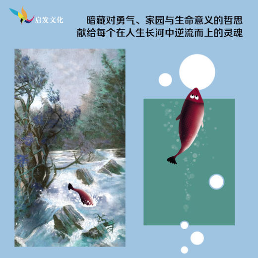 最勇敢的鲑鱼罗莎 商品图4