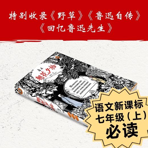 朝花夕拾-地面全渠道-造景贴纸 商品图3