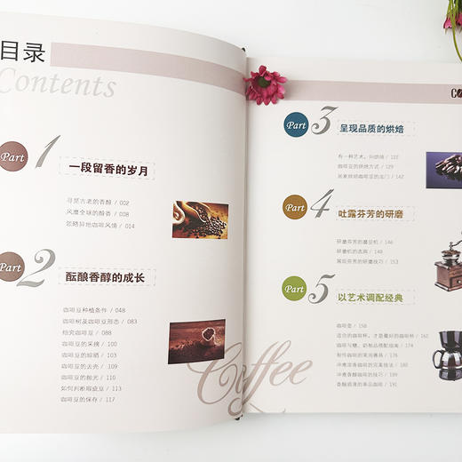 时尚风情:咖啡鉴赏 商品图4