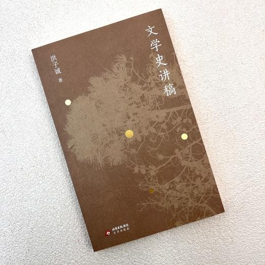 文学史讲稿 商品图2