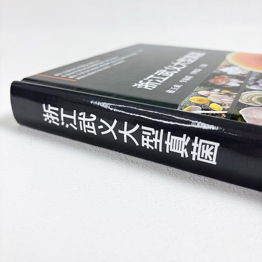 浙江武义大型真菌 商品图2