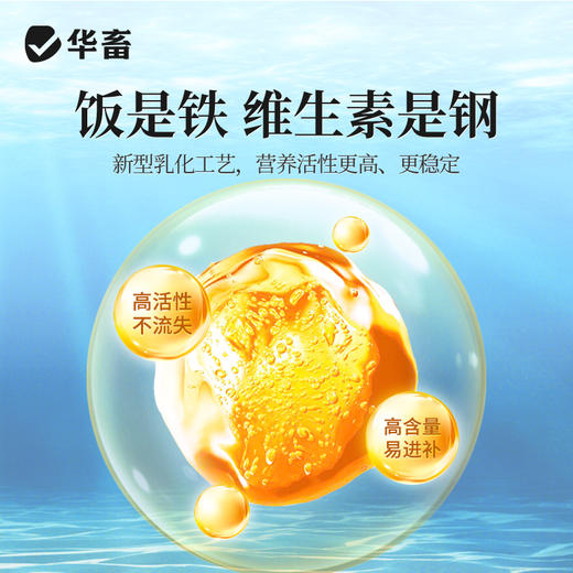 华畜水产电解多维10kg抗应激活性高 吸收好 商品图2