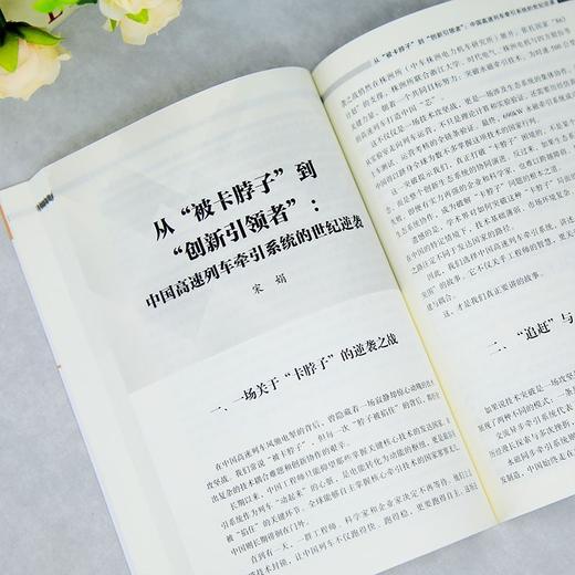 跨越鸿沟:探索22家中国企业的创新创业实践 商品图4