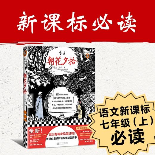 朝花夕拾-地面全渠道-造景贴纸 商品图1