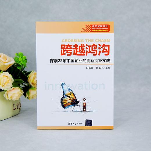 跨越鸿沟:探索22家中国企业的创新创业实践 商品图3