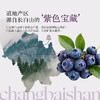 【180袋预售 6月底关店前发货】羽心堂新品 蓝莓原浆 55颗长白山寒地蓝宝石 花青素果 多酚活性高 护眼K炎 视疲劳 极寒慢生长 一年只采收一季 薄皮发红蓝莓果浆 30g/袋【效期至27年5-6月】 商品缩略图6