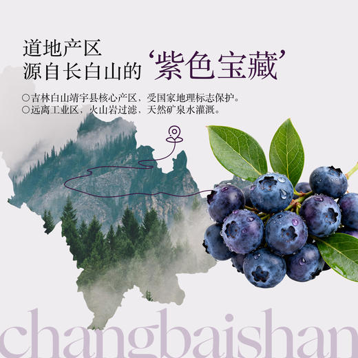 【180袋预售 6月底关店前发货】羽心堂新品 蓝莓原浆 55颗长白山寒地蓝宝石 花青素果 多酚活性高 护眼K炎 视疲劳 极寒慢生长 一年只采收一季 薄皮发红蓝莓果浆 30g/袋【效期至27年5-6月】 商品图6
