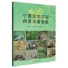 宁夏草地常见病害虫害图鉴 商品缩略图0