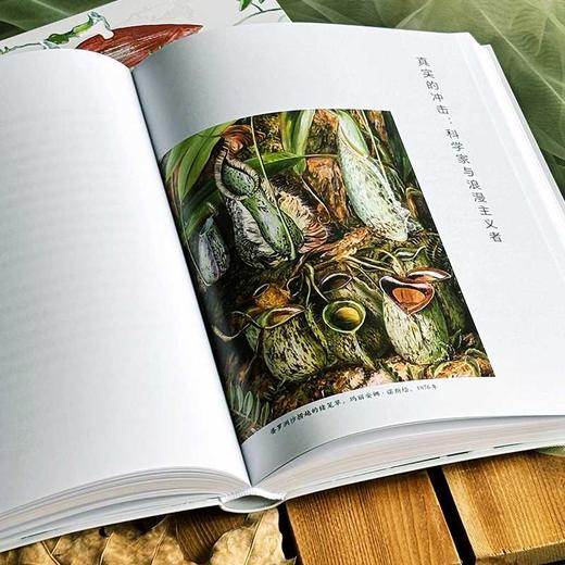 植物的盛会:四万年植物生活与人类想象 商品图4
