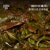 有机乌龙·漳州河·漳平水仙 | 进阶原叶系列 | 50g原叶 | 乌龙茶类 商品缩略图3