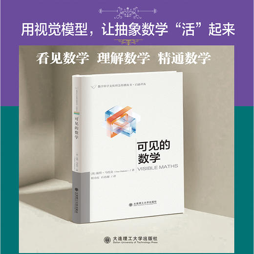 可见的数学 商品图1