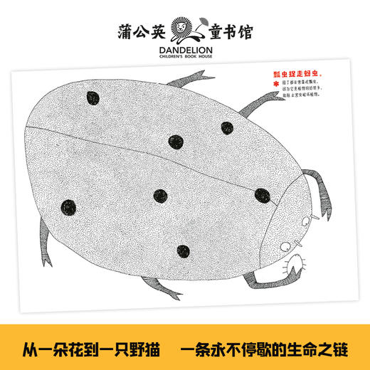 谁吃谁 商品图2