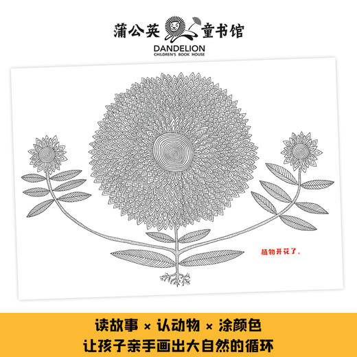 谁吃谁 商品图1