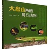 大盘山两栖爬行动物 商品缩略图0