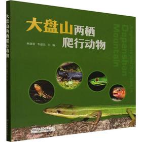 大盘山两栖爬行动物