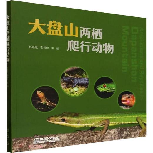 大盘山两栖爬行动物 商品图0
